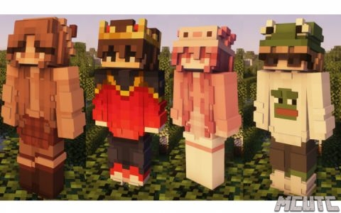 Skin Layers 3D.jpg